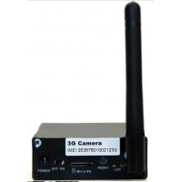 GSM-3G-Camera ascunsa in nasture